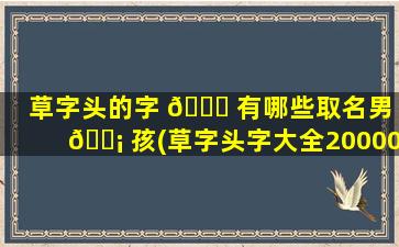 草字头的字 🐈 有哪些取名男 🐡 孩(草字头字大全20000个字)